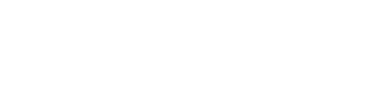 Prisma_Logo_NoTag_White